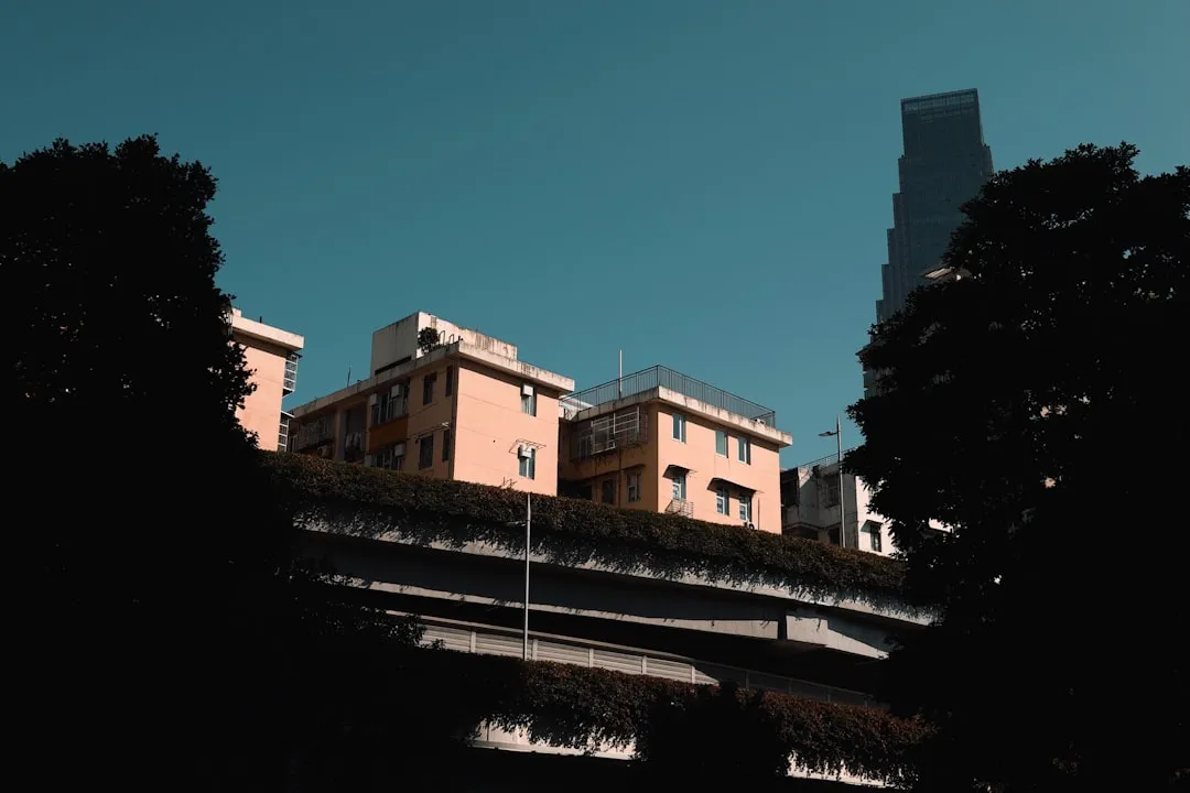 数字化转型背景下郑州企业商务服务模式创新趋势